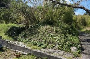 DSC00451